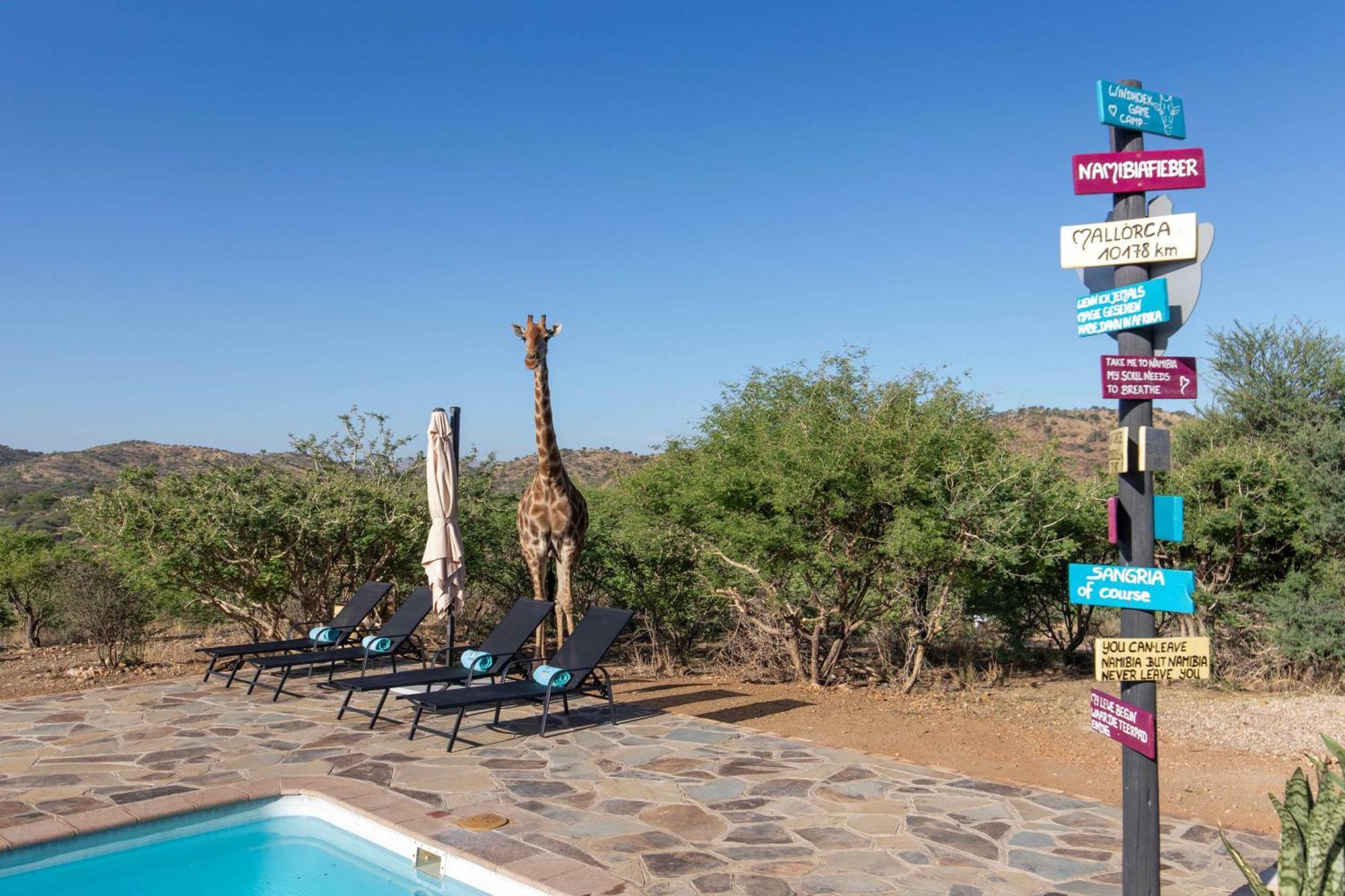 Windhoek Game Camp Lafrenz Township Exterior foto