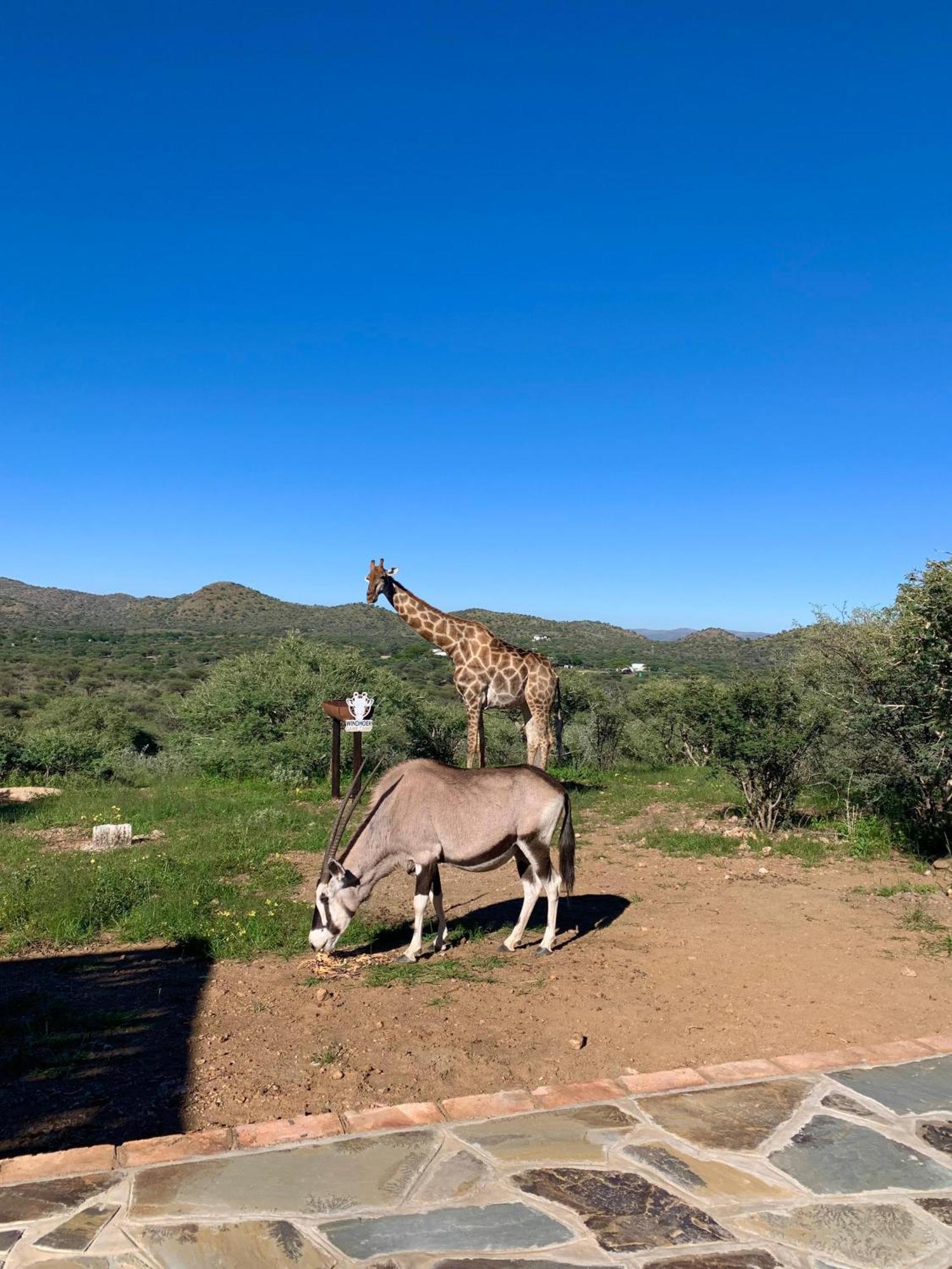 Windhoek Game Camp Lafrenz Township Exterior foto